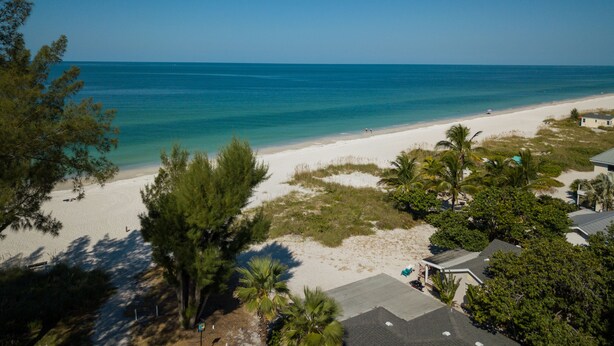 Blick auf einen Strand mit blauem Himmel, sandigem Ufer und etwas Grün.