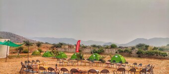 Camping In Desert With Camel Safari
