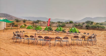 Camping In Desert With Camel Safari