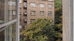 Um edifício residencial de vários andares com varandas e uma árvore em primeiro plano.