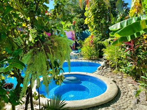 Outdoor pool - 🌴16 Bed Compound Oasis 🌴Downtown Jaco with Private Pool & Hot Tub (Jaco Beach)