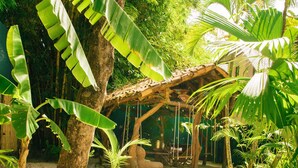 Un jardin tropical avec un sentier en pierre, une balançoire en bois et diverses plantes tropicales.