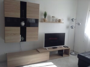 تلفزيون، كُتُب