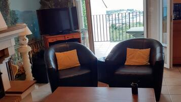 Télévision, cheminée, lecteur de DVD