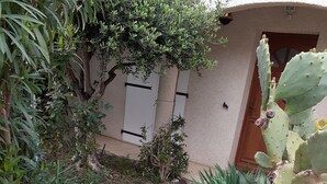 A garden with a variety of plants, including a cactus, and a gravel path.