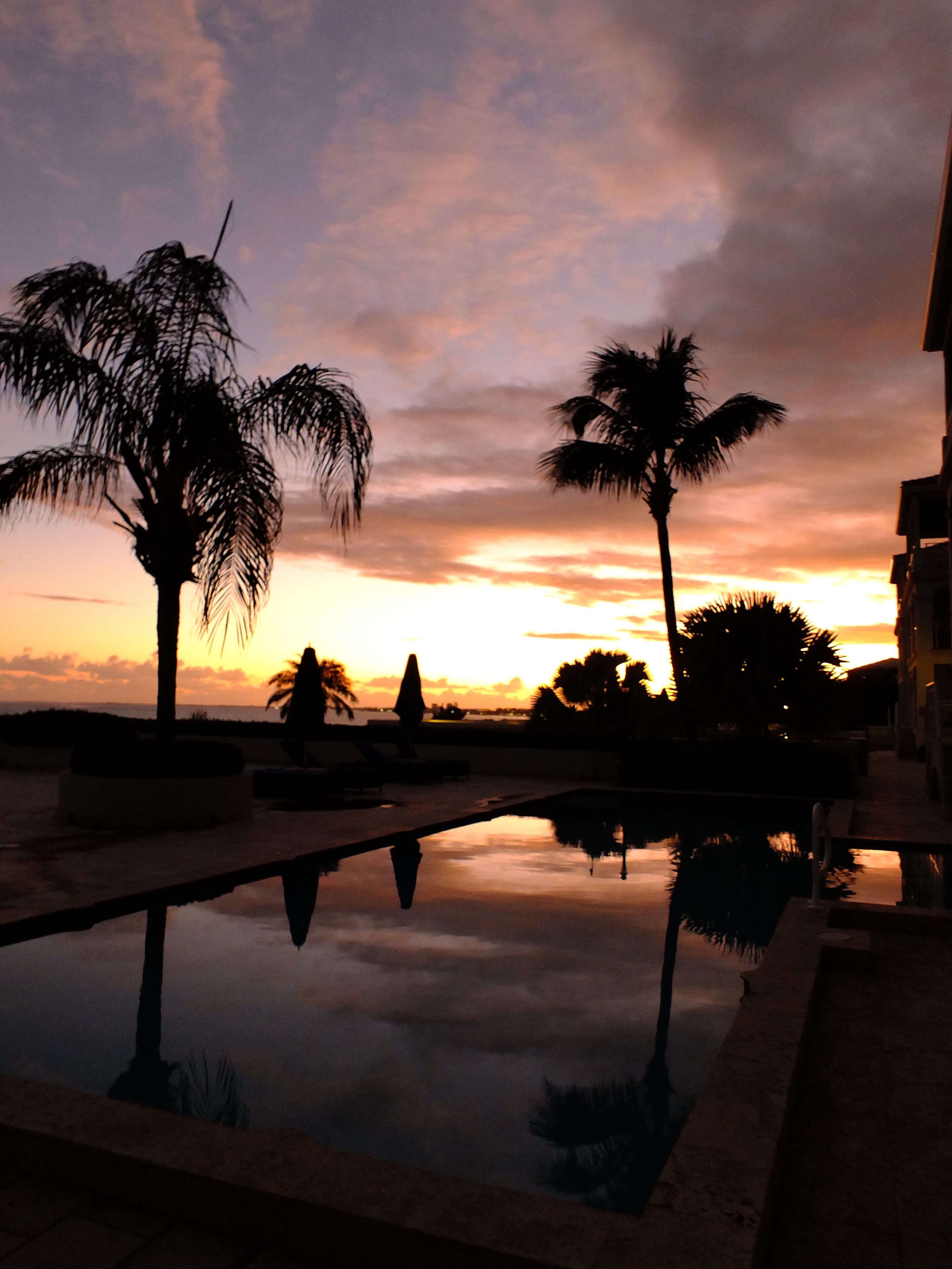 A pool reflecting palm trees and a sunset sky.