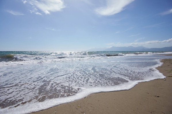 私家海滩、3 间海滩酒吧