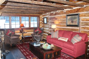 Een smart-tv, een open haard, een dvd-speler en boeken