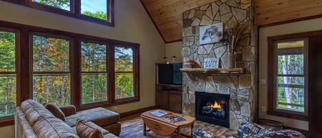 Télévision, cheminée