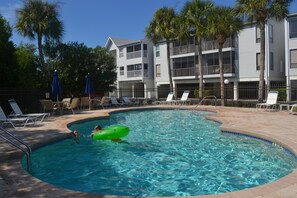 A heated pool - Sandy Pointe 210 · Mangrove & Bay View · Pool (Holmes Beach)