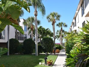 A pathway lined with palm trees and a building with balconies. - Waters Edge 110S · Direct Gulf Balcony · 1-Month Rental (Holmes Beach)