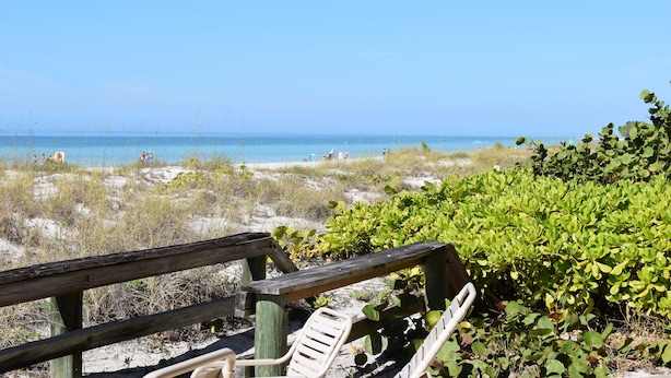 Eine hölzerne Bank mit Blick auf einen Strand, klares blaues Wasser und spärlicher Vegetation.