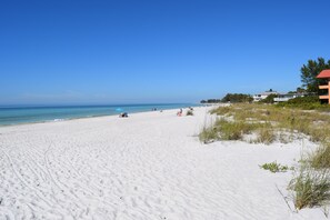 On the beach