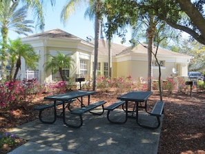 House | Property grounds