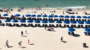 A beach with rows of blue umbrellas and lounge chairs, people walking, and the ocean in the background. - 100 PLUS 5 STARS! BEACHFRONT! FREE BEACH CHAIRS! STAND UP SHOWER! FULLY STOCKED! (Panama City Beach)