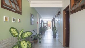 Un pasillo con paredes verdes, ventanas con marco de madera y plantas en macetas.
