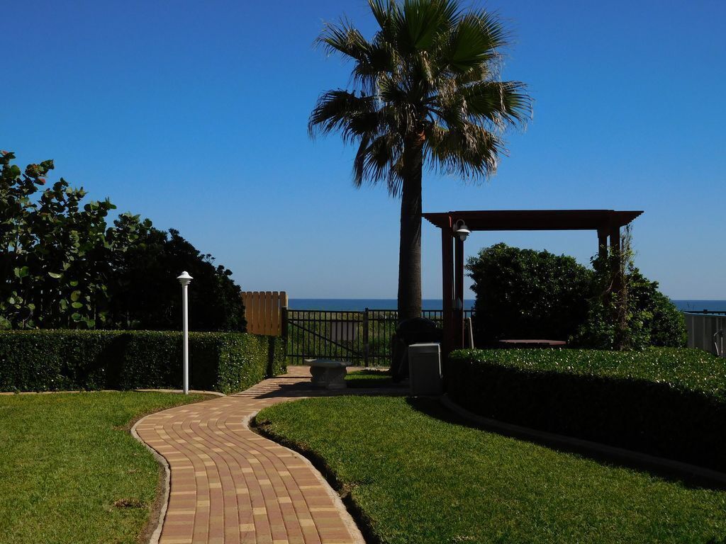 A paved pathway leading to a gazebo with a palm tree and a view of the ocean.