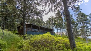 Een vakantiehuisje met een veranda, omringd door een dicht bos en groen.