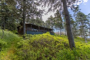 Eine Hütte mit Veranda, umgeben von dichtem Wald und Grün.