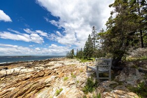 Un rivage rocheux avec un banc et des arbres.
