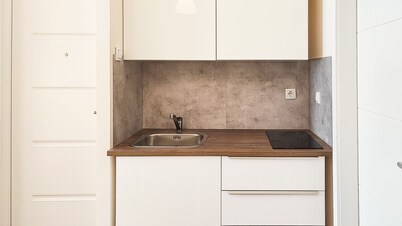 Central Modern Studio in 5 Minutes Walk from Trg Slobode