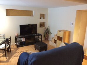 Flat-screen TV