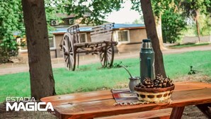 A wooden picnic table with a thermos, a small cup, and a basket of nuts. In the background, there is a wooden cart and a building with a blue roof. - Posada Los Cipreses (San Rafael)