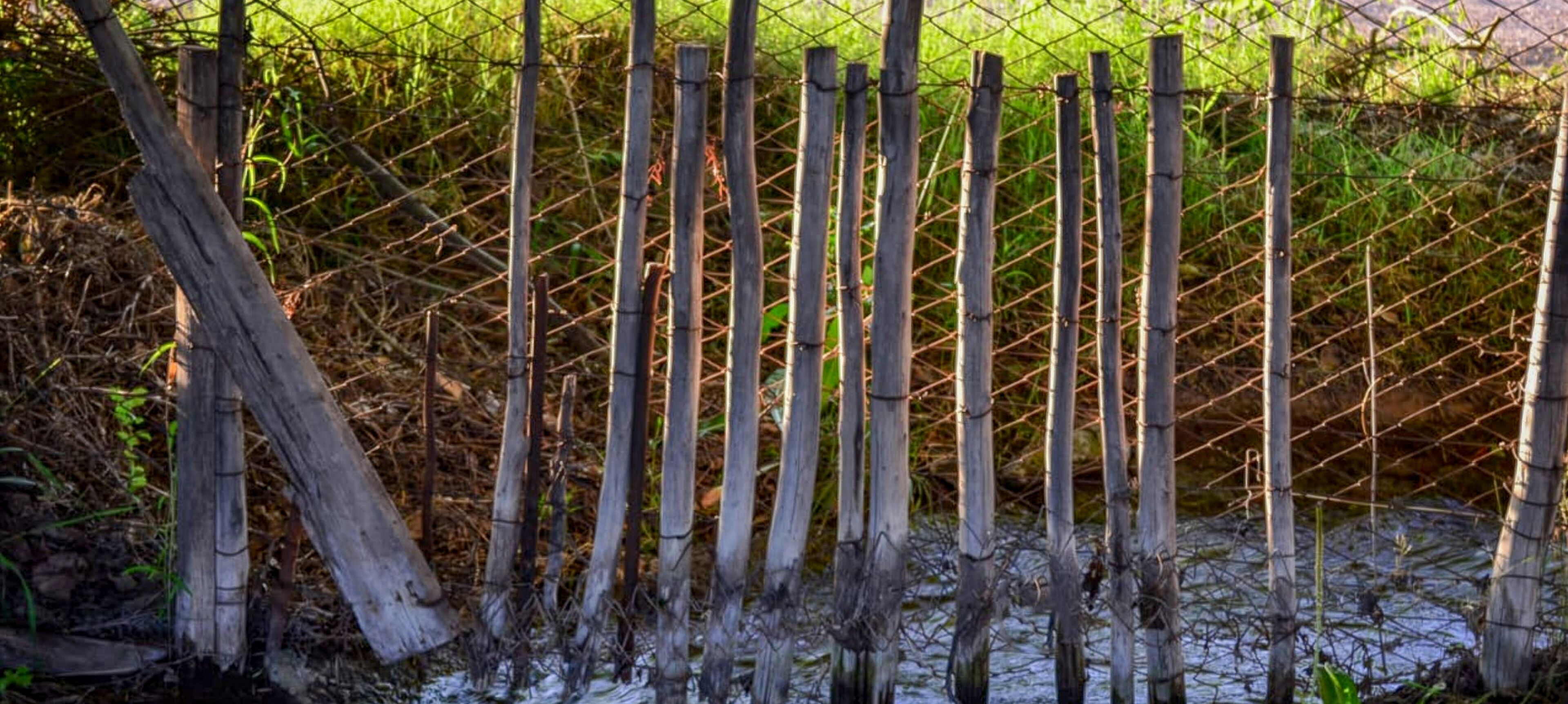 Une clôture en bois, composée de poteaux verticaux et de fils horizontaux, entourée de végétation naturelle et d’eau.