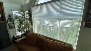 Télévision, cheminée, chaßne hi-fi