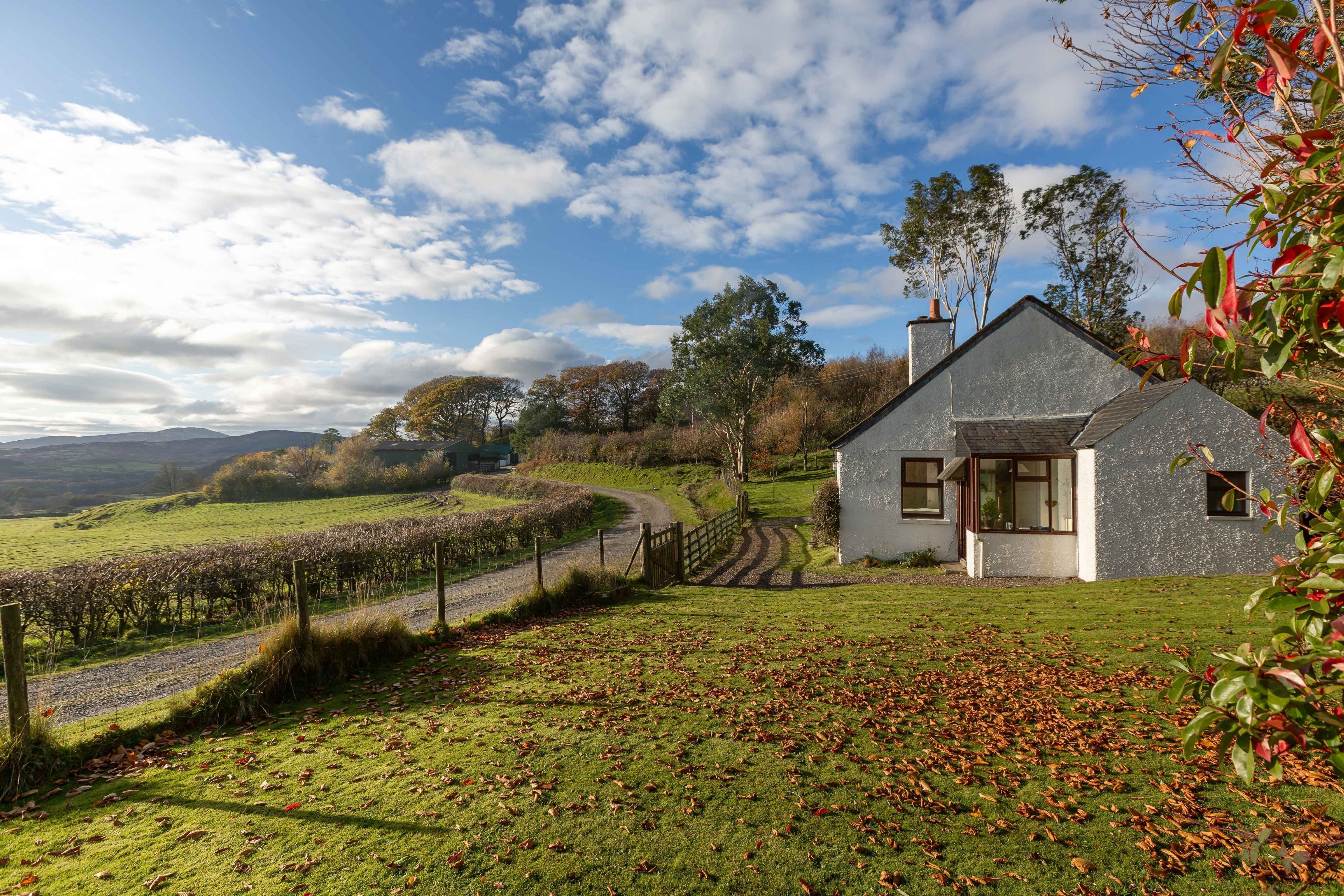 A house with a sloped roof, a paved driveway, and a fenced vineyard in the background.