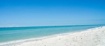 ★Panoramic Gulf Views★ Direct Beachfront Corner Unit in Platinum Rated Complex