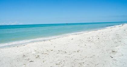 ★Panoramic Gulf Views★ Direct Beachfront Corner Unit in Platinum Rated Complex