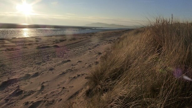 A beach with sand and grass, a clear sky, and the sun setting or rising. - Barnacle -  a cottage that sleeps 4 guests  in 2 bedrooms (Southwick-Sandyhills)