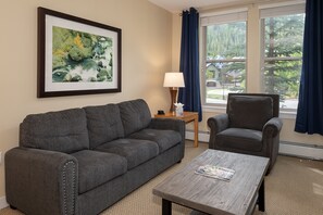 Télévision, cheminée, chaîne hi-fi