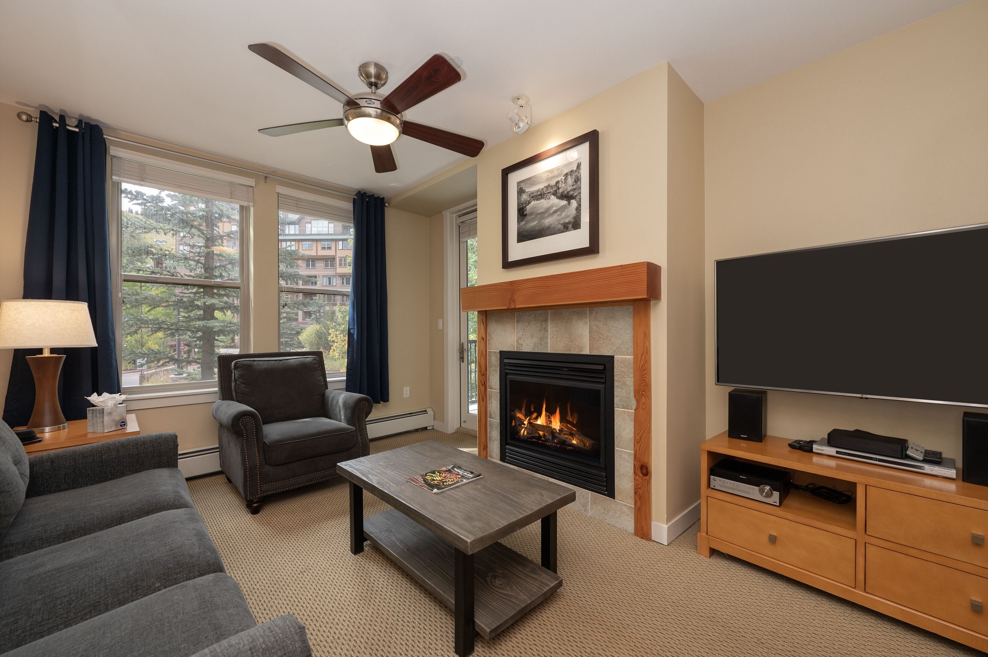 TV, fireplace, stereo