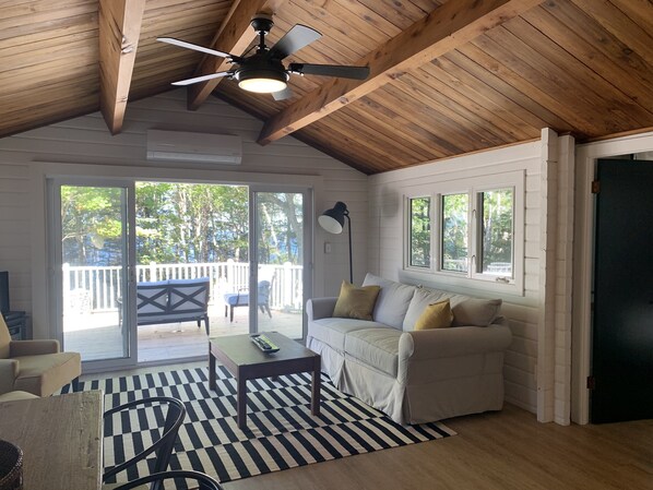 Smart TV, fireplace, books