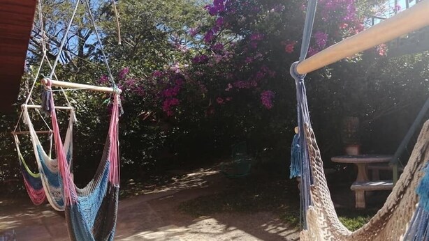 Un hamac suspendu à l’extérieur, une table et une chaise dans un jardin où poussent des fleurs violettes.