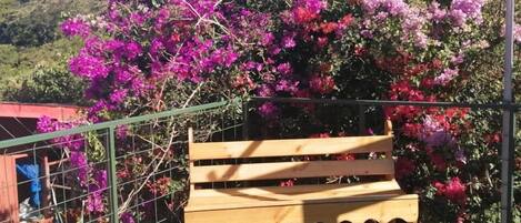 Aire de pique-nique/barbecue