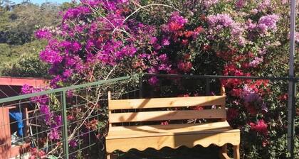 Pensión y Cabinas Colibrí Monteverde B&B