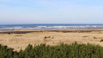 Walk along the boardwalk to the ocean, surrounded by natural dunes and a dense cluster of coniferous trees.