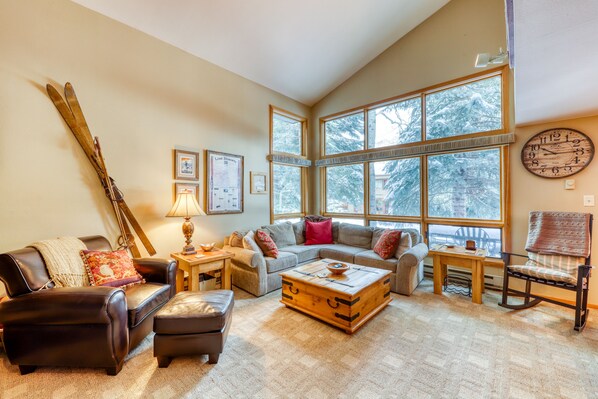 TV, fireplace, DVD player, books