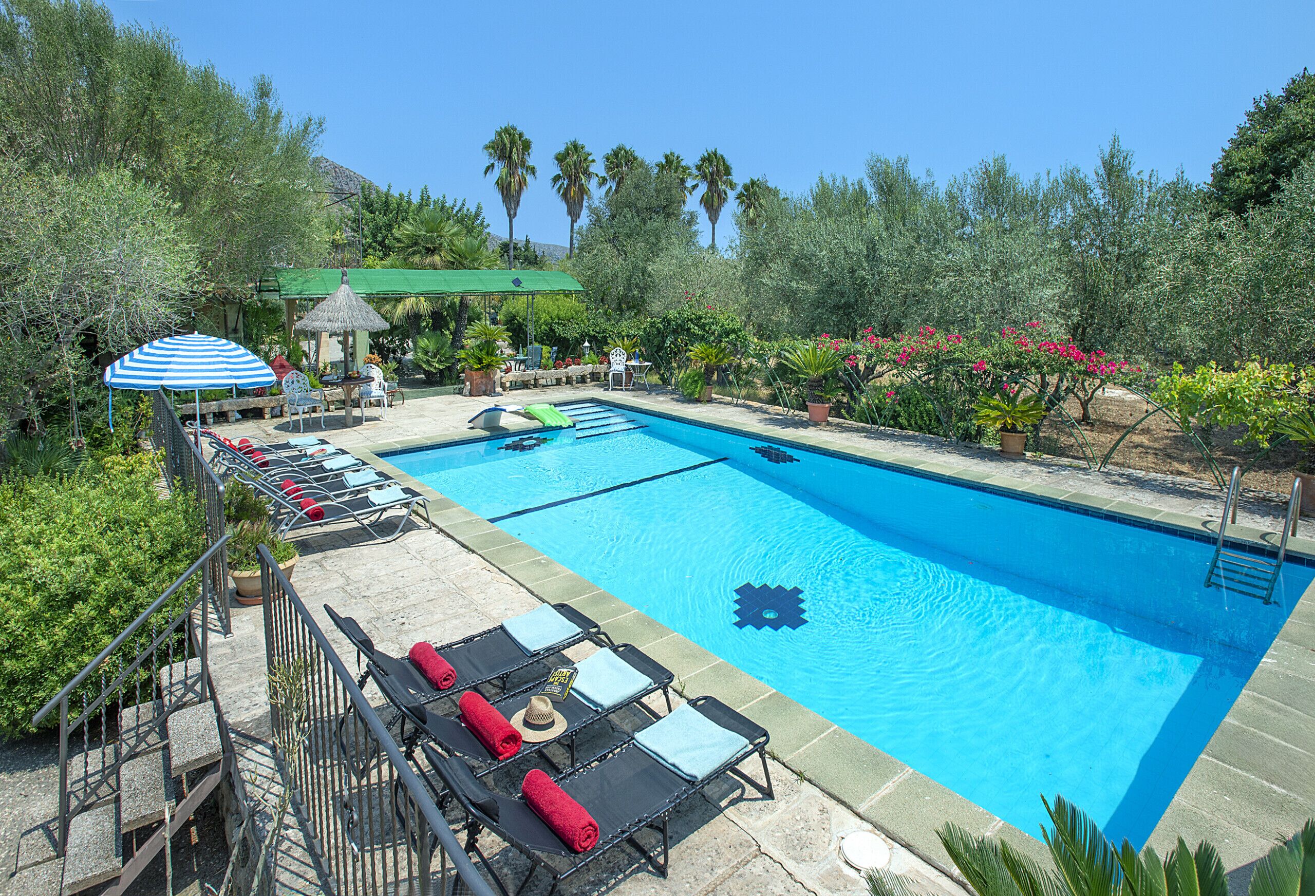 Une piscine entourée de verdure et de palmiers, avec des chaises longues et des parasols.