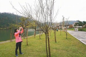 Jardí