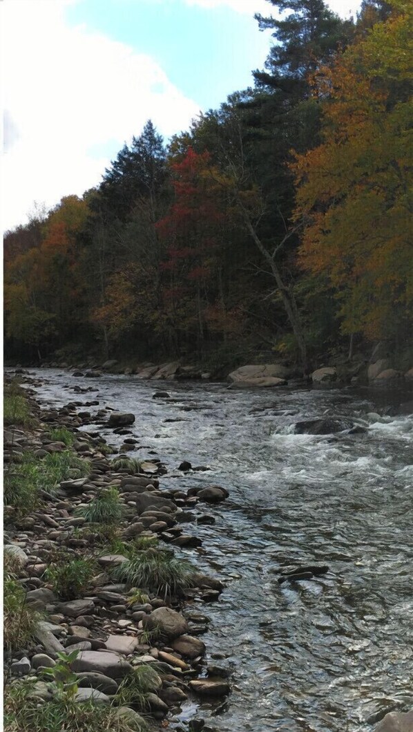 A river flowing through a forested area with rocks and autumn-colored trees.