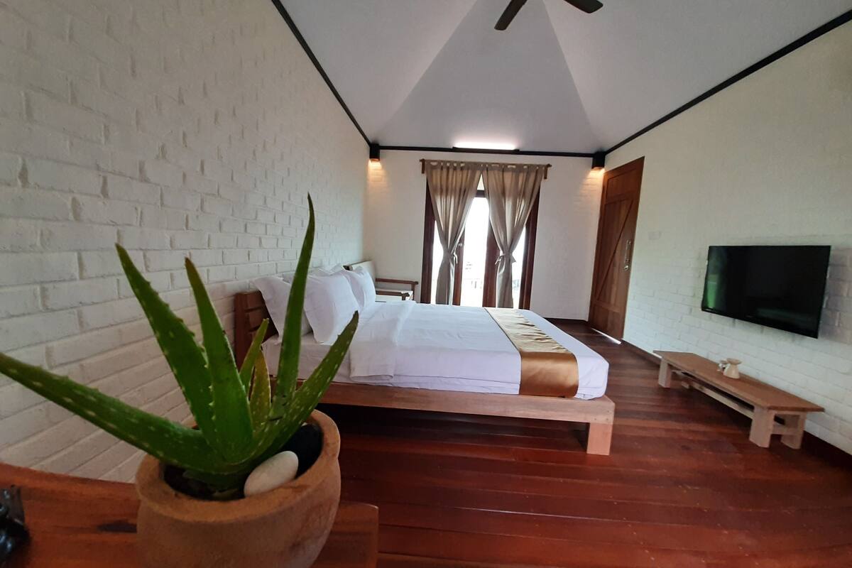 A bedroom with a bed, a ceiling fan, a TV, a wooden bench, and a potted plant.