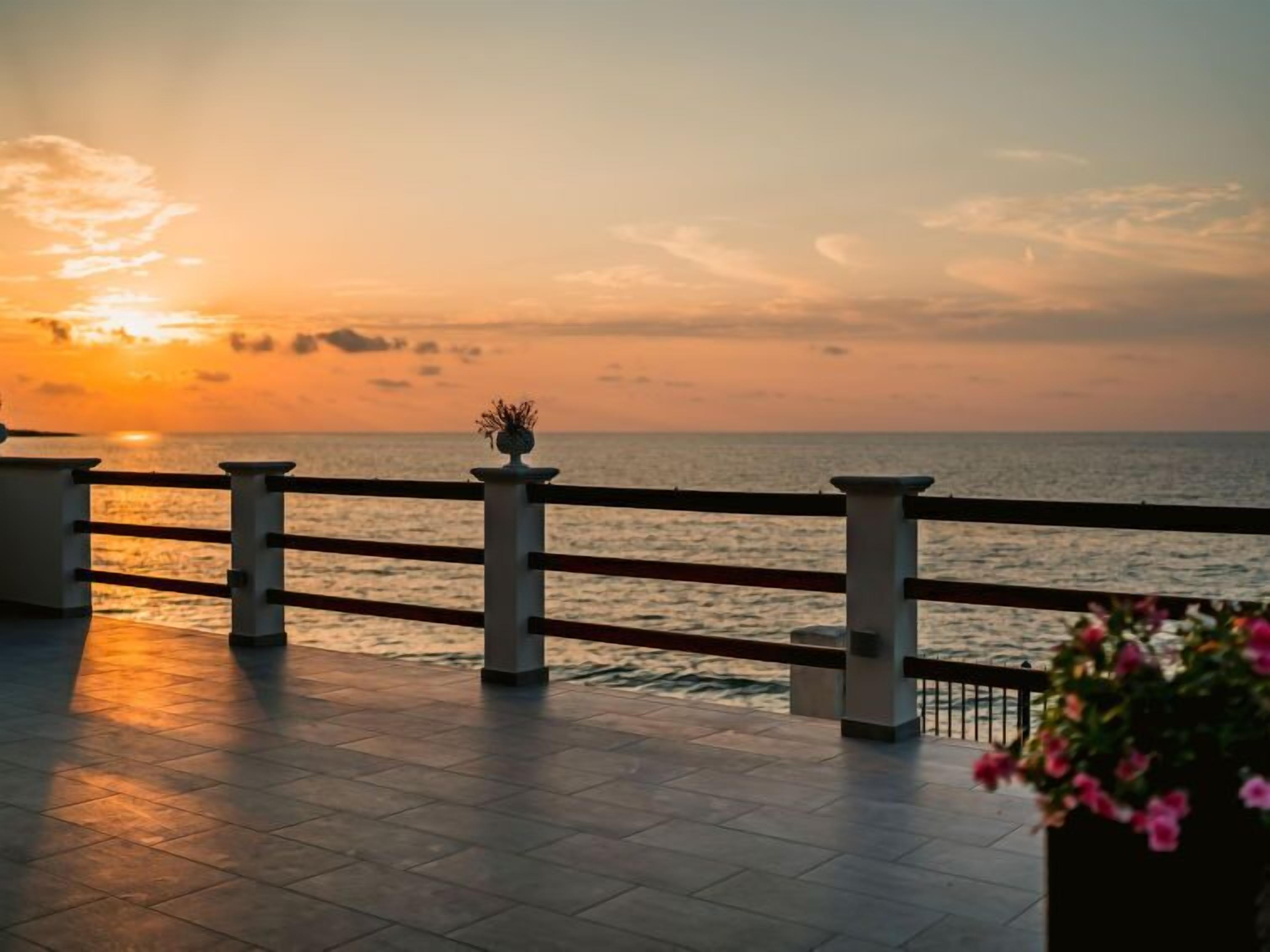 テラス / パティオ