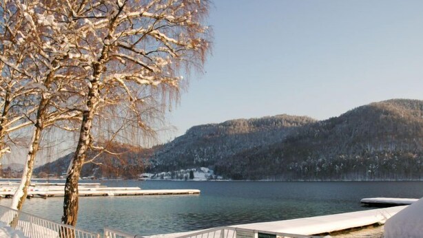 Une jetée enneigée avec une rambarde en bois, un arbre aux branches nues et un lac paisible, avec des montagnes en arrière-plan.
