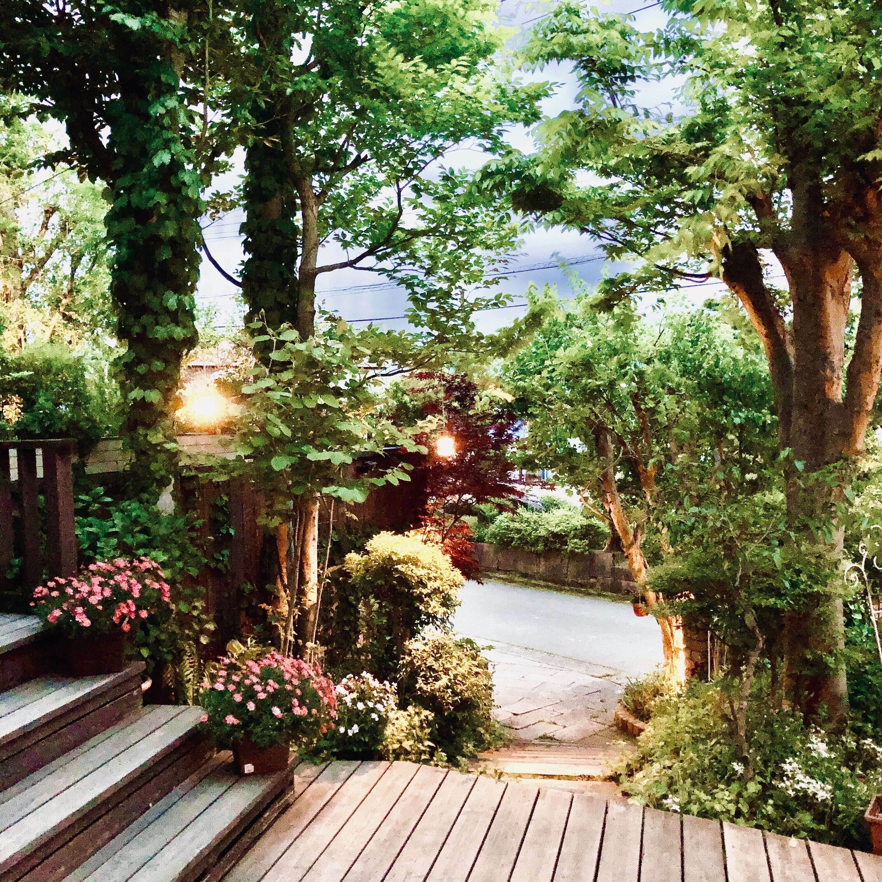 Àrea exterior de l'allotjament