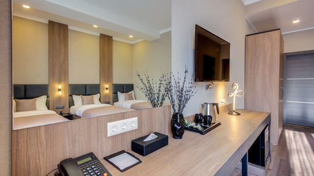 A modern hotel room with a wooden reception desk, a telephone, a tissue box, a vase with branches, and a flat-screen TV mounted on the wall.
