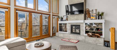 Televisión, chimenea y reproductor de DVD